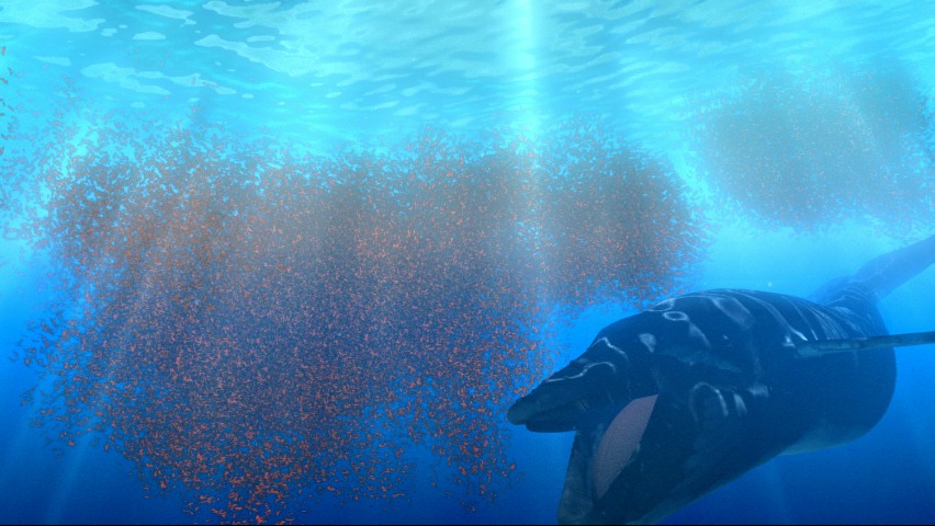 Мощность кита под водой. Криль кит. Синий кит криль. Синий кит питается планктоном. Синий кит ест планктон.