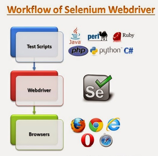 Selenium Workflow