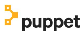 Puppet Enterprise Logo