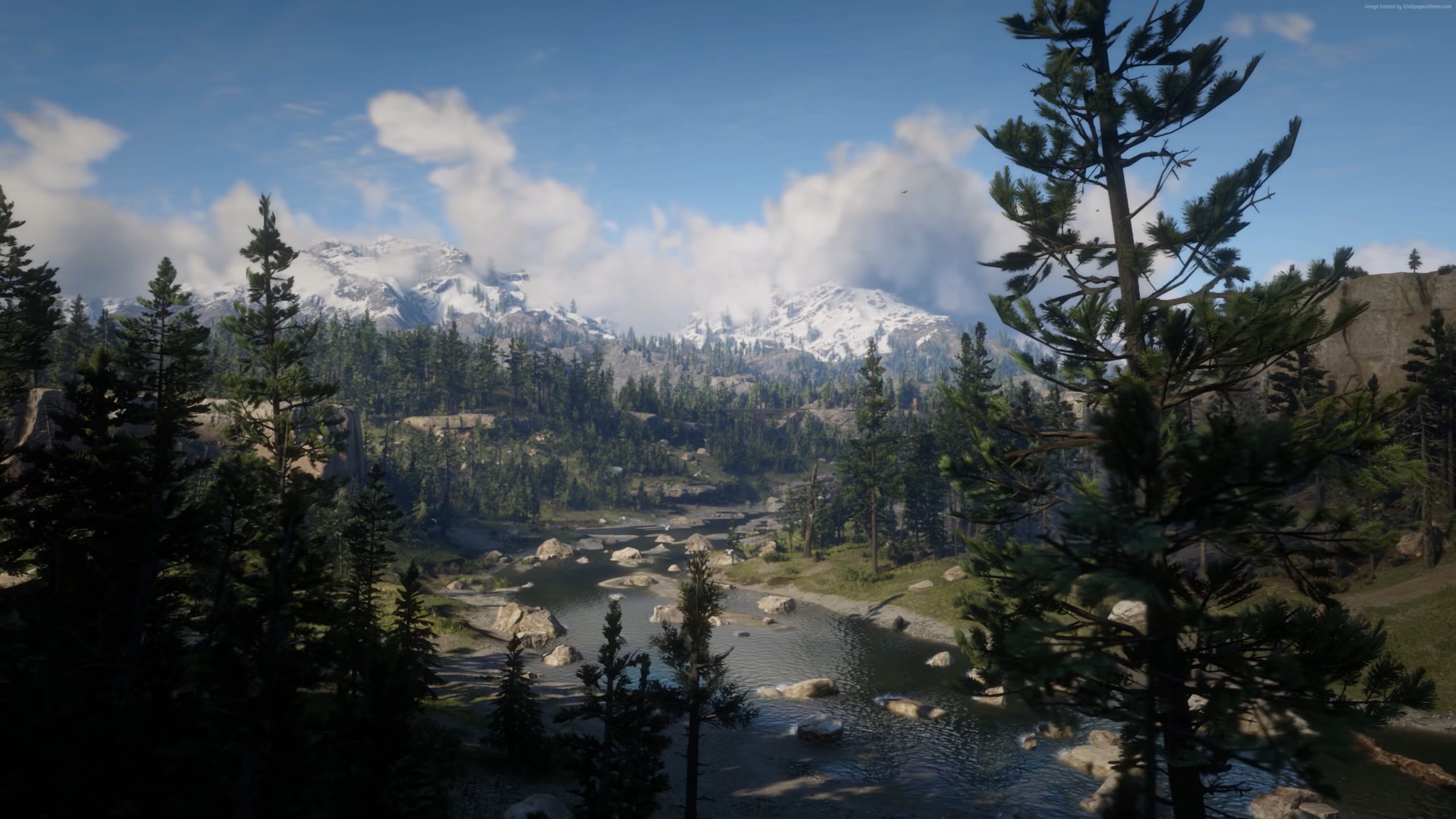hd red dead redemption 2 images