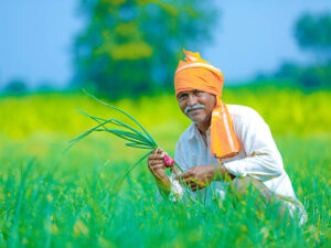 PM Krishi Kalyan Schemes for Agriculture sector and Farmers.