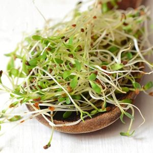 Alfalfa sprouts are very low in calories but rich in nutrients