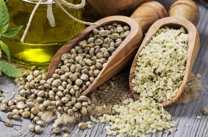 Hemp seeds, which come from the cannabis plant Cannabis sativa