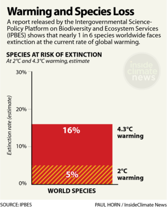 Surprising But True Global Warming Will Cause Biodiversity Depletion